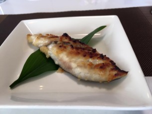 12548850_1055475294505206_5906536839196269201_n