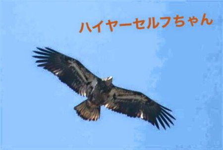 私、一昨日、自分の