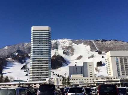 2016年が皆さまの飛躍の年になりますように